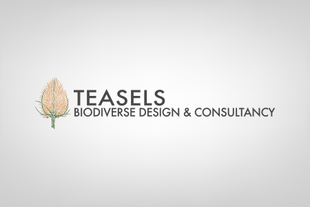 Teasels Biodiverse Design & Consultancy Logo